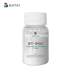 BT-9102 Cosmetic Silicone Powder KSP 101 Provide Oil Control Efffect In Loose Powder