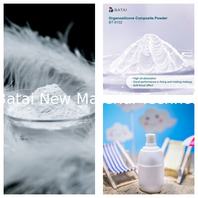 BT-9102 Silicone Powder Composed Of Vinyl PDMS Methicone Silsesquioxane Crosspolymer