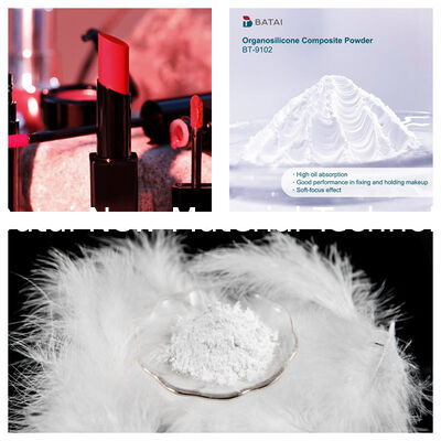 BT-9102 Silicone Powder Composed Of Vinyl PDMS Methicone Silsesquioxane Crosspolymer