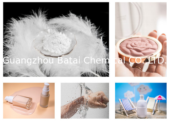 BT-9271 Polymethylsilsesquioxane for Moderate Oil Control Small Particle Size PMSQ