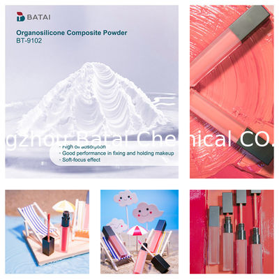 Vinyl Dimethicone／Methicone Silsesquioxane Crosspolymer BT-9102 Organosilicone Composite Powder Solid (White powder) 8.0 ~ 12.0μm for Cosmetics